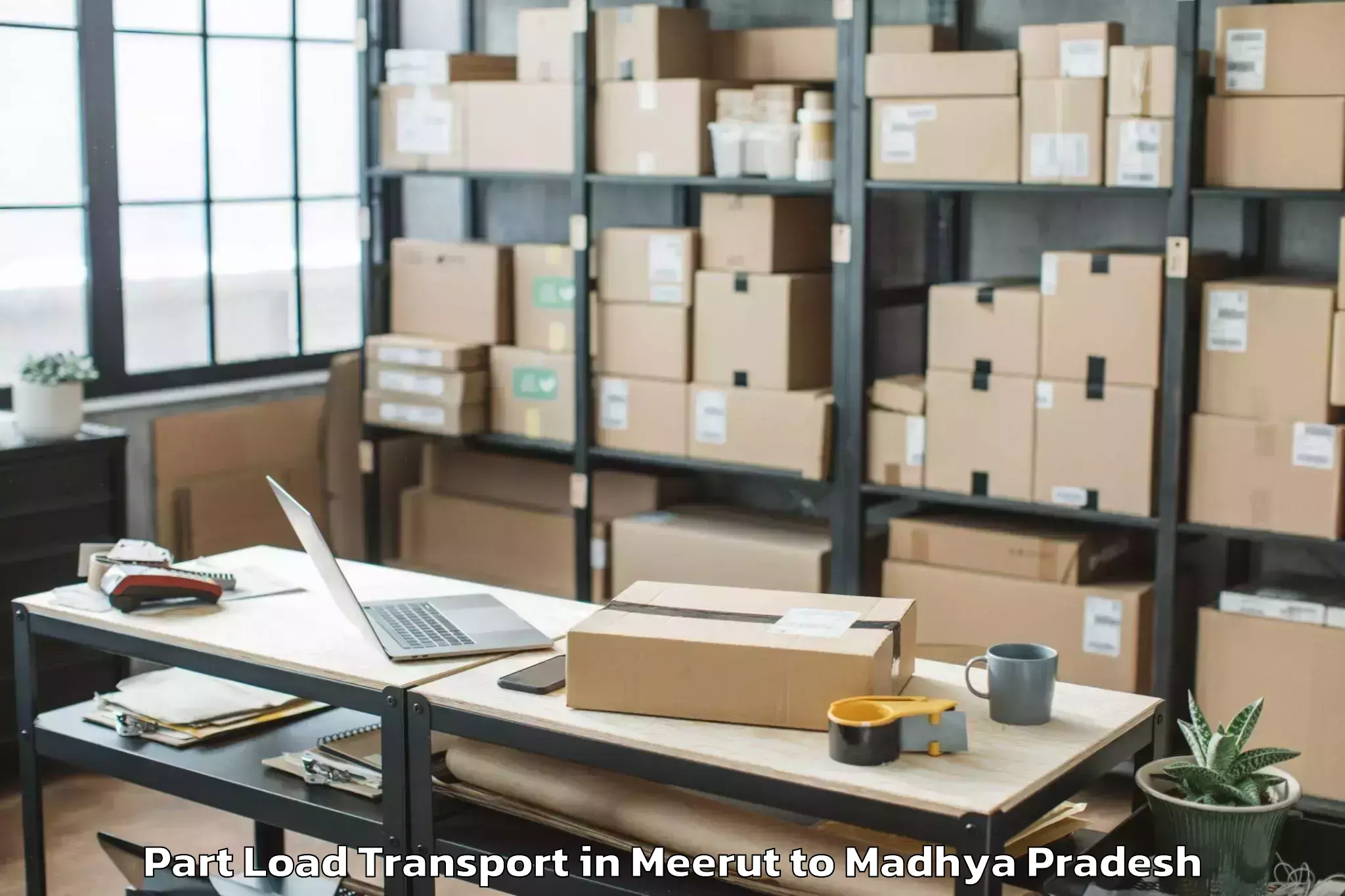 Top Meerut to Jaithari Part Load Transport Available